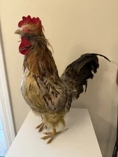 Realistic 18” Feathered Rooster Free Standing Country Farmhouse Rustic Decor