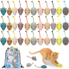 51 Pcs Assorted Mice Cat Toys Bulk with Cat Paw Gift Storage Bags Set, Small ...