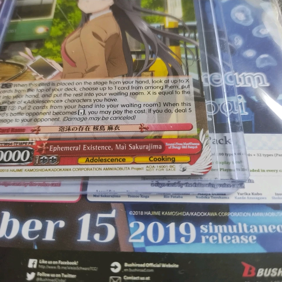 Ephemeral Existence, Mai Sakurajima Rascal Does Not Dream of Bunny Girl promo - Image 2 of 4