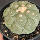 Foto 12 di 24
