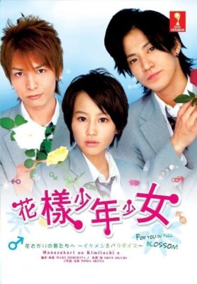 JAPANESE DRAMA DVD FOR YOU IN FULL BLOSSOM VOL.1-12 END*ENGLISH SUB**REGION ALL*