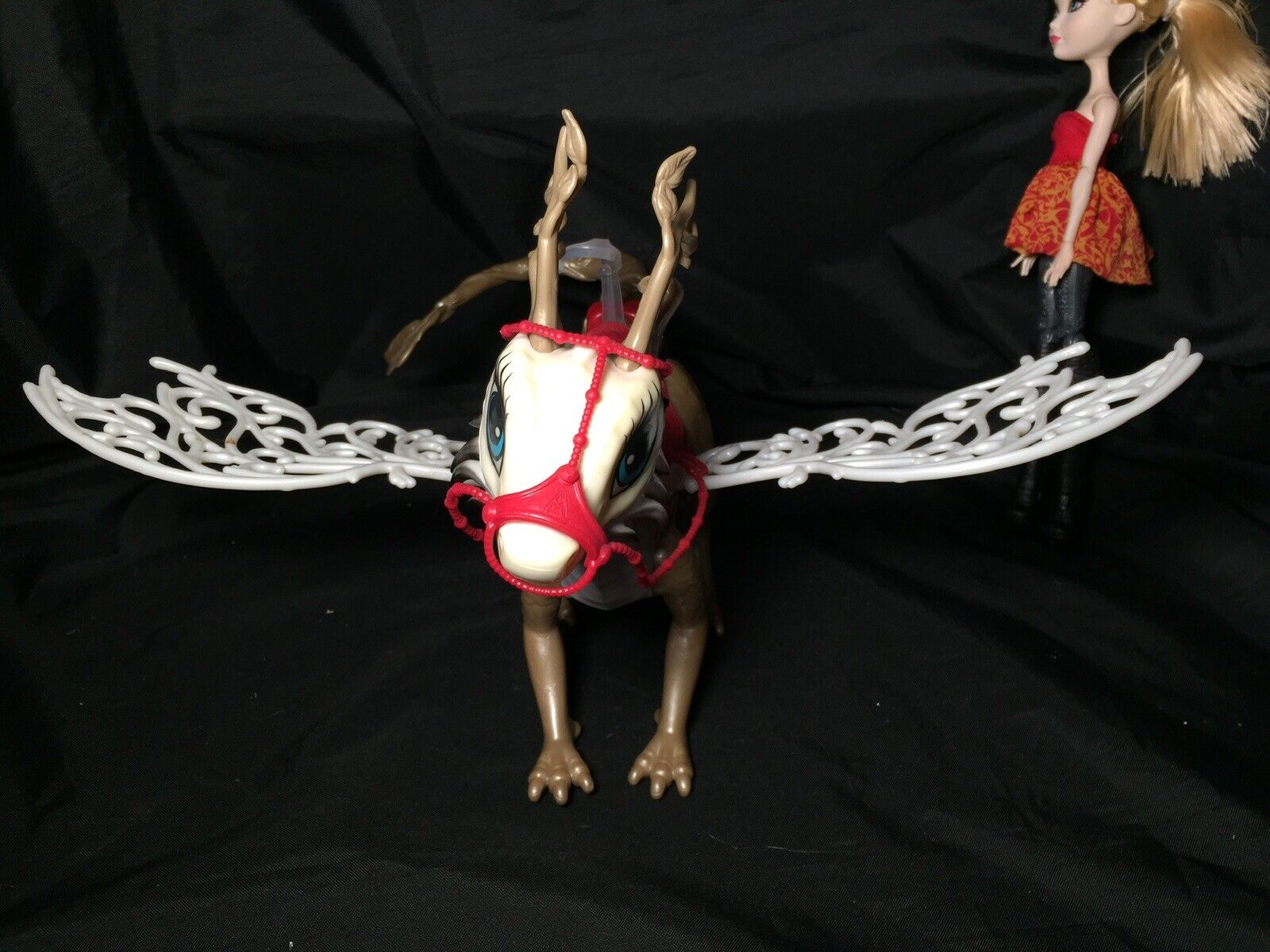 Picture 8 of 9