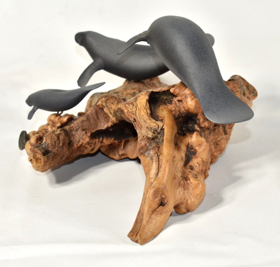 John Perry 3 Manatee Family Burlwood Base Pellucida Resin Sculpture 10" Wide