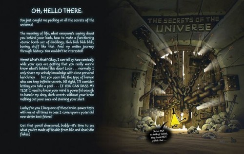 THE BOOK OF BILL Alex Hirsch B&N Exclusive GRAVITY FALLS Hardcover - Picture 11 of 12