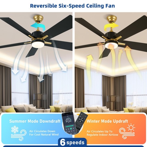52 Inch Modern Ceiling Fans with Lights Remote & APP Control Indoor Ceiling Fan - Picture 12 of 20