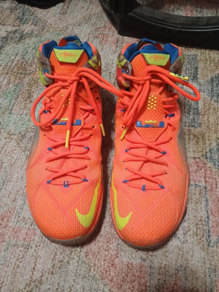 Nike Lebron James Size 12 ?url=http://sothebys-  main image 4