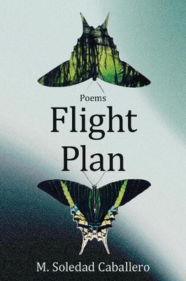 Flight Plan - 9781636282527