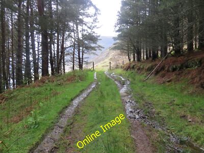 Foto 6x4 Gleis verlässt den Wald auf das Moor über Loch Glass Meall an c2014