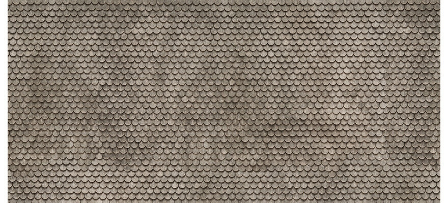 Foto 1 di 3