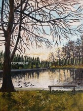 Shearwater Lake-Original Oil Painting on Canvas board lake, bench, trees Winter