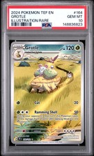 2024 POKEMON TEF EN-TEMPORAL FORCES ILLUSTRATION RARE #164 GROTLE PSA 10 on eBay