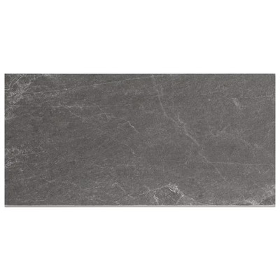 Lithotech 11.81 In. X 23.62 In. X 0.78 In. Graphite Gray Matte Porcelain Floor P