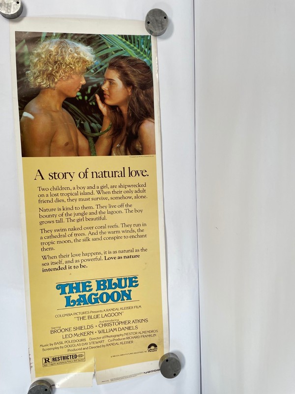 Vintage Original 1980 The Blue Lagoon Brooke Shields Movie Poster