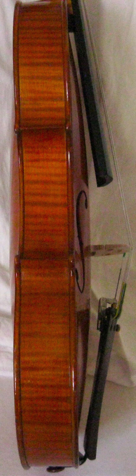 Foto 3 di 6