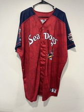 #40 Game Issued Portland Sea Dogs Marvel Defenders Of The Diamond Jersey
