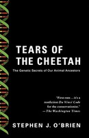 Stephen J. O'brien | Tears Of The Cheetah | Taschenbuch | Englisch (2000)