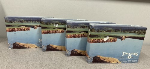 RARE VINTAGE SPALDING CUSTOM GOLF BALLS MLK Jr. Celebrity Golf Tournament Logo - Picture 1 of 11