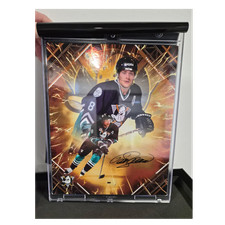 Anaheim Ducks Collecting and Fan Guide 77