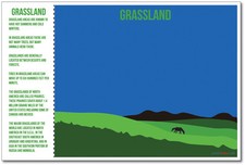 Grassland - NEW World Habitat Ecosystems Poster ms269 