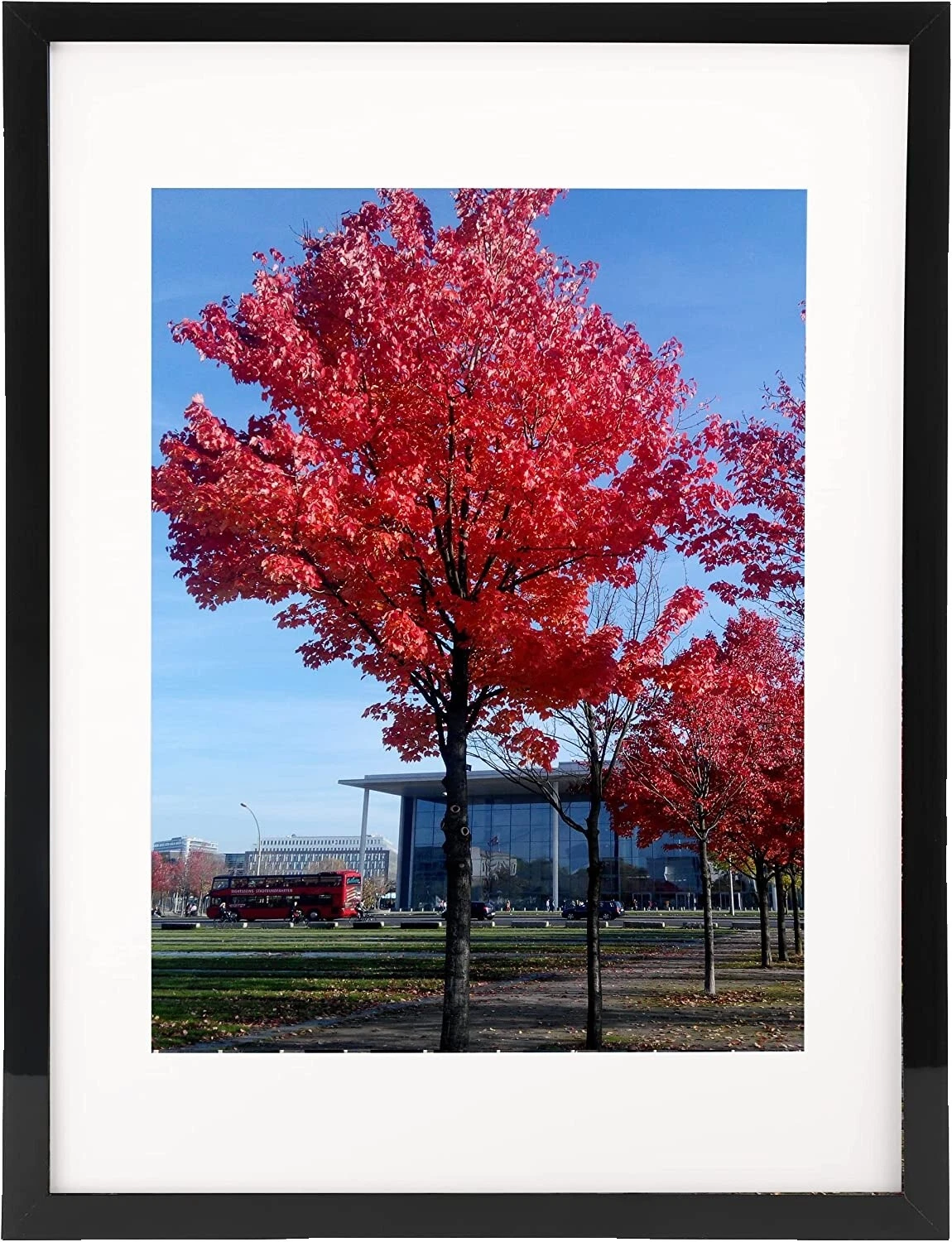 Marcos para fotos de la naturaleza