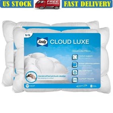 Hypoallergenic Cloud Luxe Surround Pillow 2pk Down Alternative Standard Queen
