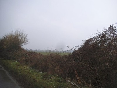 Foto 12x8 Hecke in Trowley Bottom c2017
