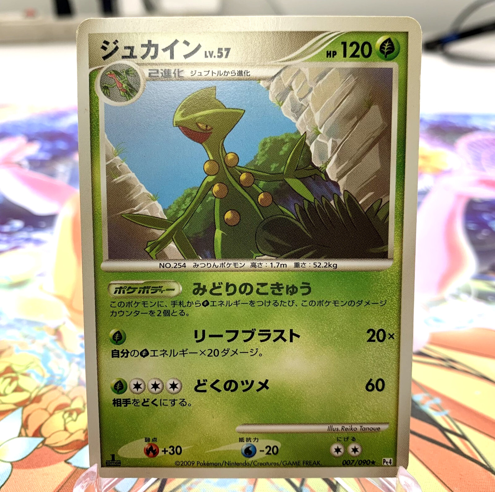 Sceptile 007/090 1st Edition Pt4 Japanese Pokemon Card ~ MP