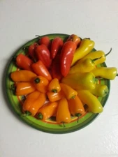 Mini Sweet Bell Pepper-Non GMO - Organic -US Grown - 25 Seeds