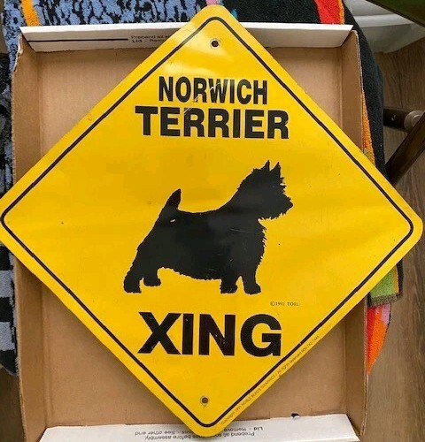 1991 Norwich Terrier  XING  Aluminum Novelty Amber Sign 17" X 17" DIAGONAL SIGN