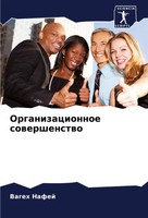 Organizacionnoe Sowershenstwo Vageh Nafej Taschenbuch Russisch 2024