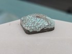  Spiderweb DRY CREEK Natural Nevada Gem High Grade Turquoise Cabochon 12 Carats  — photo 3
