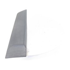 Baguette de porte Renault SCENIC
