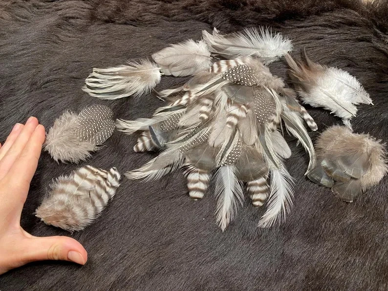 70er Federmix, 5-12cm, 7 Sorten, Bastelfedermix aus artgerechter Haltung, bunte - Bild 2 von 4