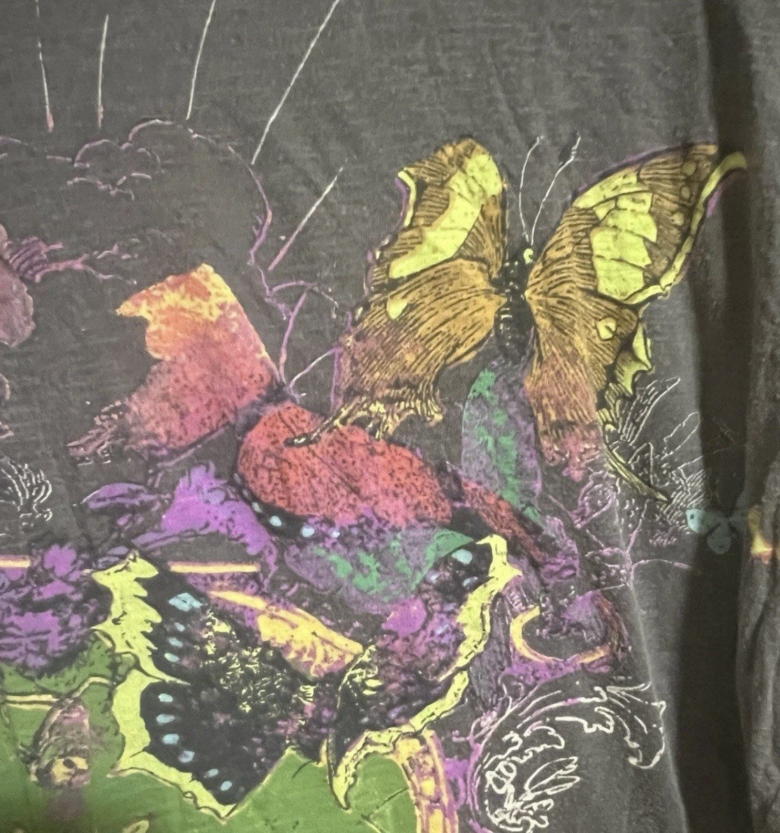 NWT Magnolia Pearl Gray T Shirt 🐿️ Im Just Squirrel Love Lift Me-Sold Out image 6