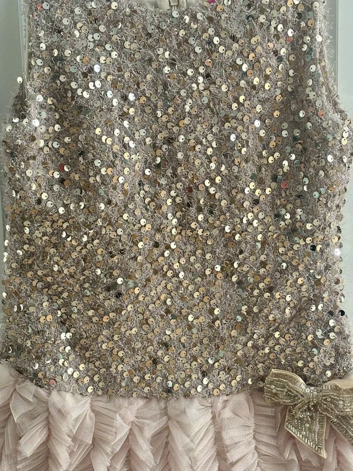 NWT Le Pink Little Mass Holiday Dress Gold Silver Tulle 6x Boutique - Image 2 of 4