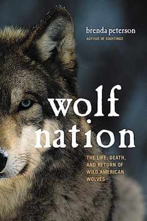 Wolf Nation: Life Death and Return Hardcover by Brenda Peterson Good