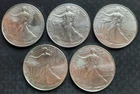 Lot of 5 - $1 American Silver Eagle 1 oz each BU All Dates are 2025