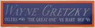 WAYNE GRETZKY EDMONTON OILERS NAMEPLATE FOR AUTOGRAPHED Signed HOCKEY JERSEY