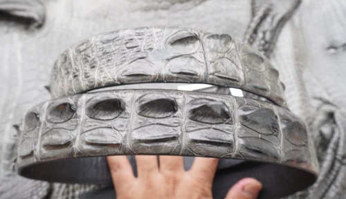 W 1.5" - Gray Real Genuine CROCODILE Hornback LEATHER Skin Men's Belt #G50