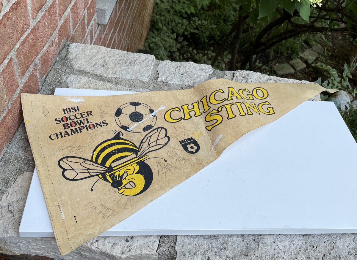 NASL Chicago Sting Vintage Signed 1981 Soccer Bowl Champions 