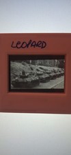 Vintage Slide Photograph Image Of Leopard Tanks German Military