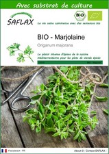 SAFLAX - BIO - Marjolaine - 700 graines - Avec substrat - Origanum