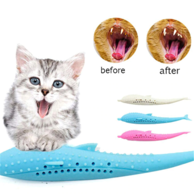 cat dental toy