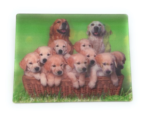 Golden Retriever Hunde Famile 9x7cm 3D Kühlschrankmagnet Magnet Karte Bild - Picture 2 of 2