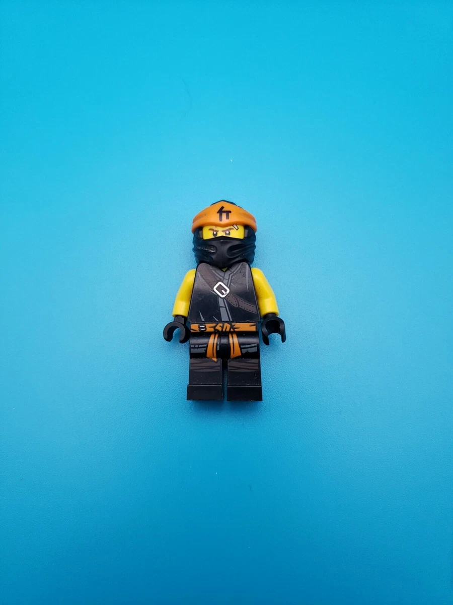 Ninjago spinjitzu cole 2025