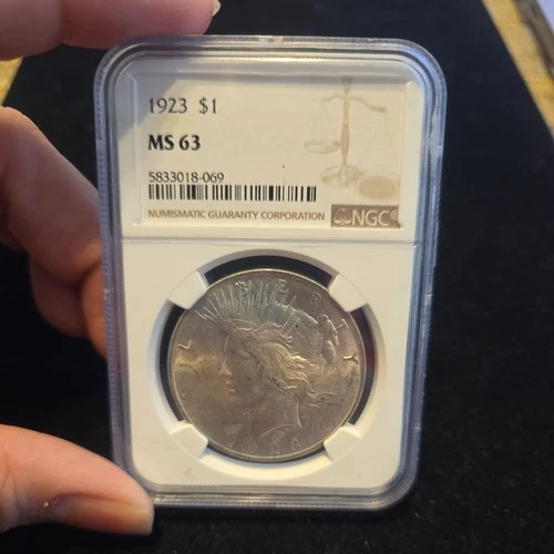 1923 PEACE Dollar NGC MS63 90% Silver #C09