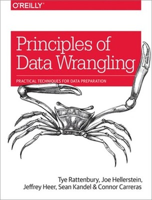 Principles of Data Wrangling: Practical Techniques for Data Preparation (Paperba