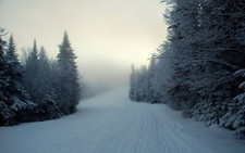 Landscape winter snow nature trees outdoors ice Custom Gaming Mat Desk