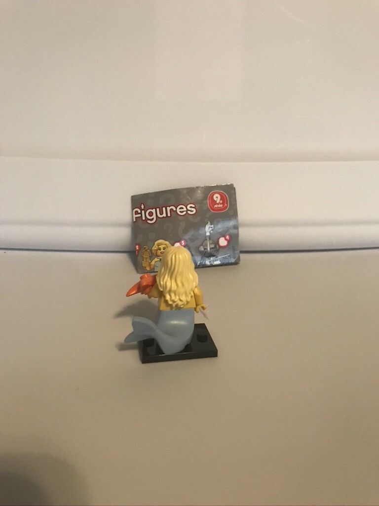 Picture 39 of 62