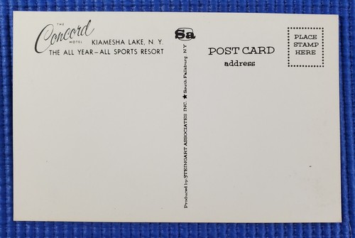 Vtg Concord Hotel All Sports Resort Kiamesha Lake Catskills New York NY Postcard - Picture 2 of 2
